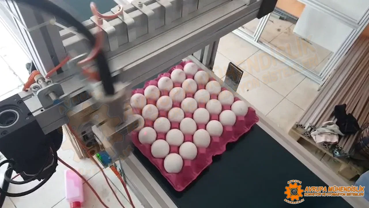 2018 yumurta inkjet kodlaşdırma PLC avtomatlaşdırma layihəsi